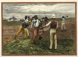 Clearing the Ground Australiana (General)