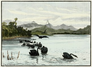 Lake King Australian