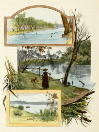 1. Swans on the Murray. 2. The Murrumbidgee at Wag… Regional