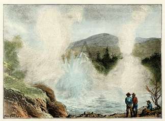 A Geyser North Island