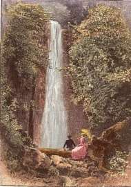 Nichol's Creek Fall.