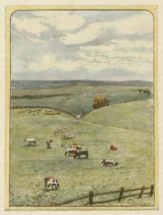 The Darling Downs From King’s Cree… Queensland