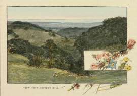 View from Anstey's Hill