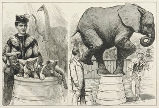 Notes at the Circus: The Performing Elep… PRINTS & PHOTOGRAPHS