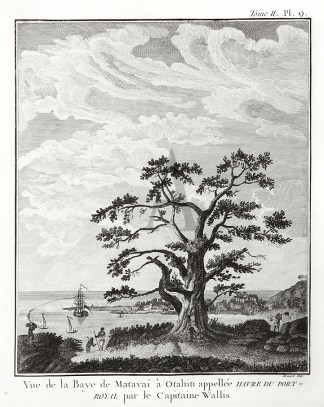 Vue de la Baye de Matavaie  Otahitu appe… Captain Cook