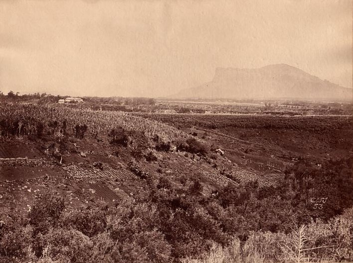 [MAURITIUS] Reduit The Gris. Residence- Moku 1500 ft above Sea Level - Antique Photograph from 1880