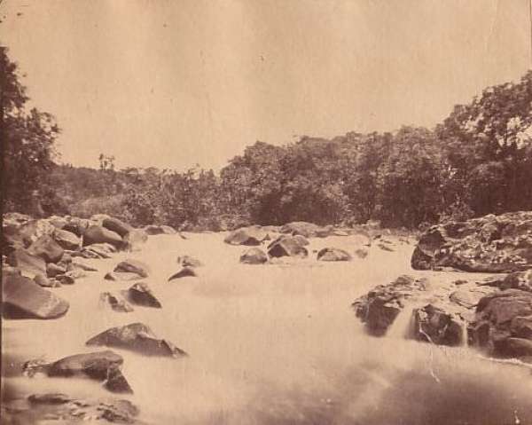 [MAURITIUS] View at Bois. - Antique Photograph from 1880
