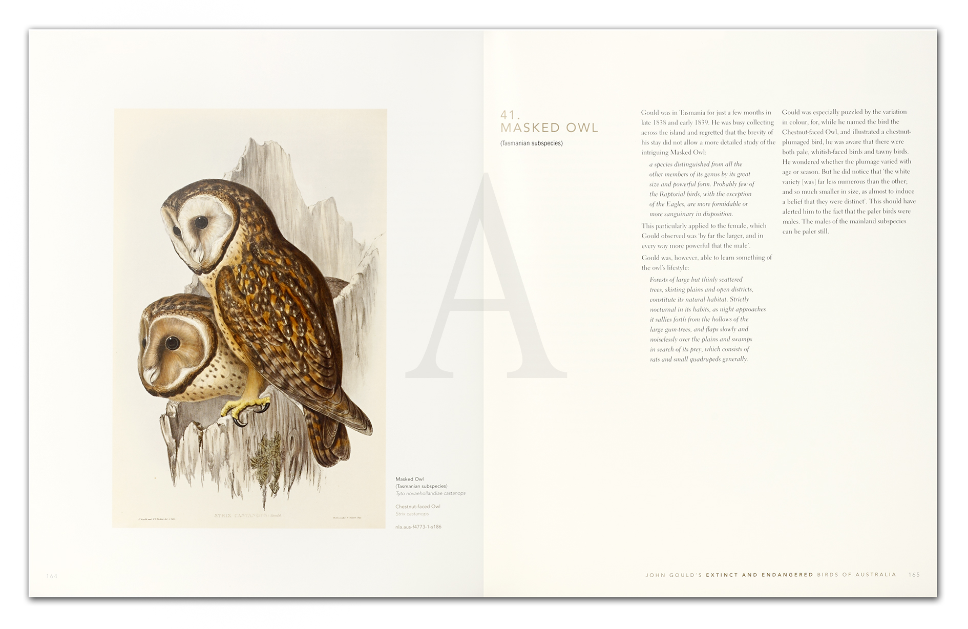 John Gould's Extinct and Endangered Birds of Australia - Vintage Print from 2012