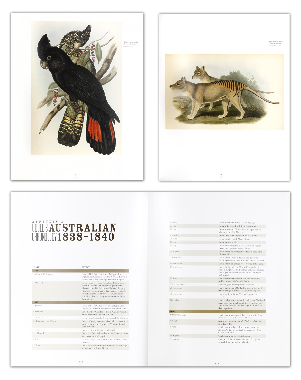 The Business of Nature John Gould and Australia. - Vintage Print from 2011