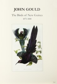 John Gould The Birds of New Guinea 1875-1888