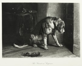 The Friend in Suspense. Dogs The Friend in Suspense.