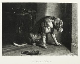 The Friend in Suspense. Dogs