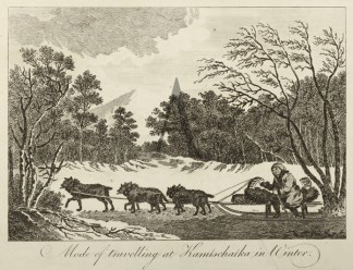 Mode of travelling at Kamstscharka in Wi… Dogs