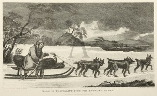 Mode of Travelling over The Snow in Icel… Dogs