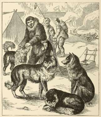 Eskimo Dogs Dogs