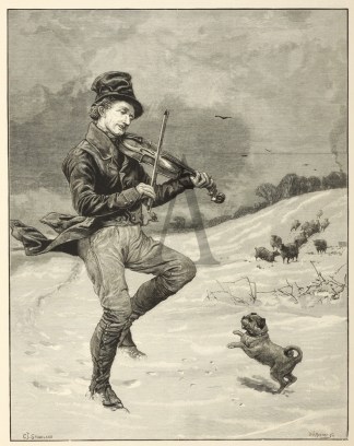 Keeping Himself Warm. Dogs