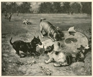 A Windfall Dogs
