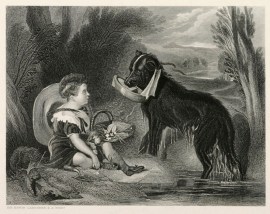 The Friends Dogs The Friends