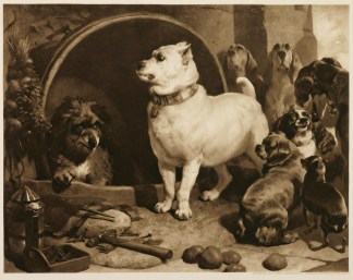 Alexander and Diogenes Dogs