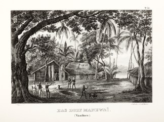 Das Dorf Manewai. (Vanikoro) PACIFIC