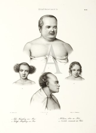 Tonga / 1.Palu,Hauptling von Mua. 2.Taho… PACIFIC