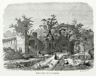 Nymphee d’Egerie pres de la voie A… Italy