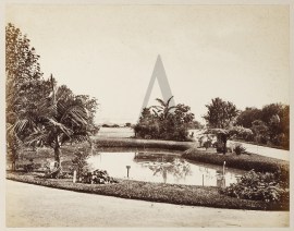 Botanic Gardens. Australian photographs Botanic Gardens.