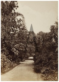 Botanic Gardens. Australian photographs Botanic Gardens.