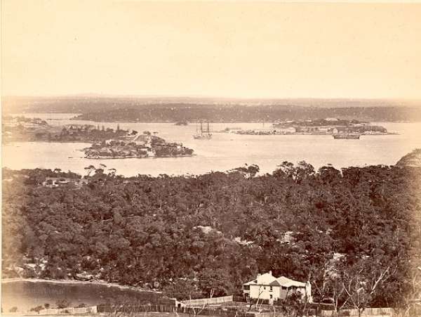 Parramatta River from Berry's Bay. - Antique Print from 1885