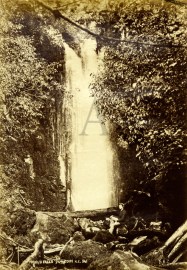 Nicol's Falls Dunedin