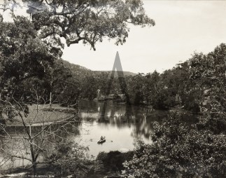 A View from Public Pavilion-National Par… Regional