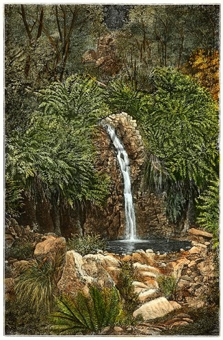 Fern Waterfall AUSTRALIA