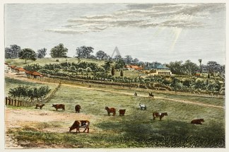 Lindsay House, Angaston. Regional