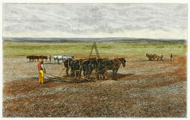 Harrowing Hill River Farm near Adelaide General - Australiana