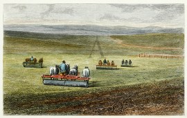 Rolling Hill River Farm near Adelaide General - Australiana