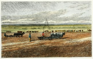Sowing Hill River Farm near Adelaide Australiana (General)