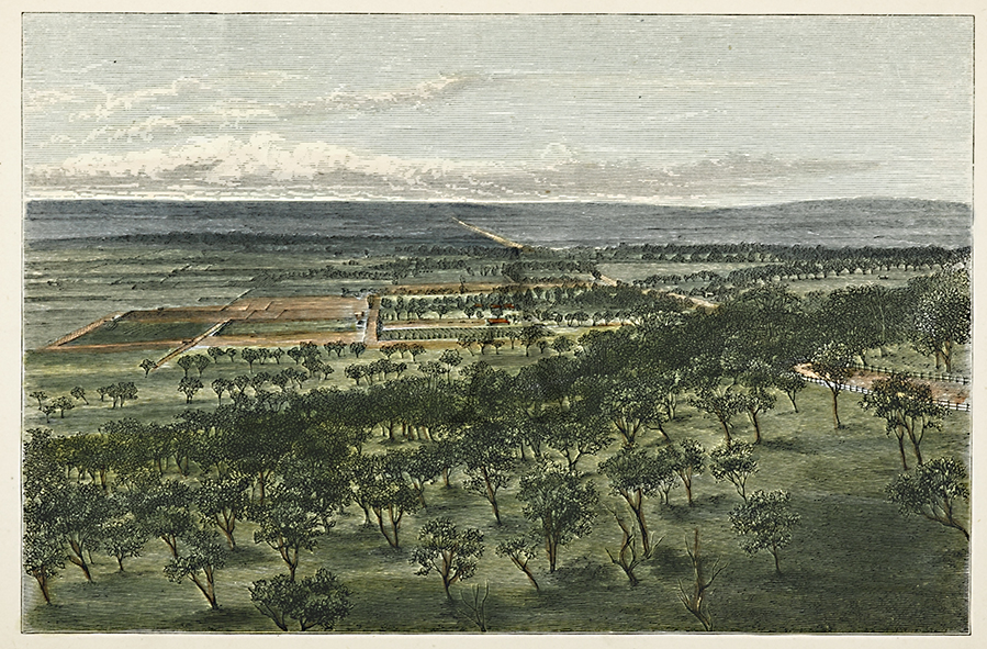 Adelaide Plains from Mount Lofty Ranges - Antique Print from 1876
