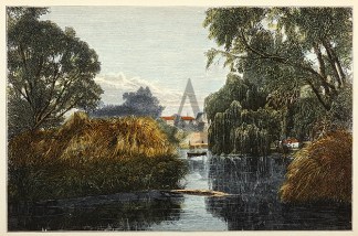 Botanical Gardens Adelaide The Lake Adelaide