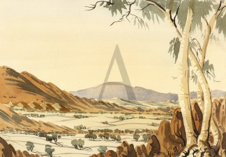 [Western McDonnell Ranges.] First Nations History