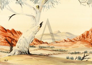 [Western McDonnell Ranges.] First Nations History