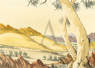 [Western McDonnell Ranges.] First Nations History