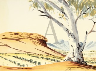 [Western McDonnell Ranges.] First Nations History