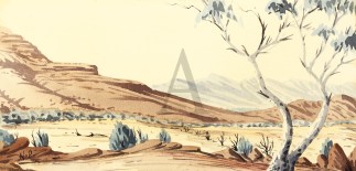 [Western McDonnell Ranges.] First Nations History