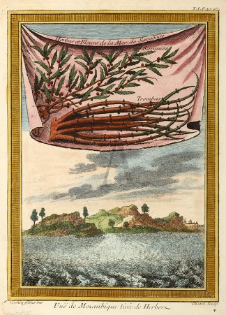 Uue de Mozanbique liree de Herberz AFRICA