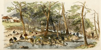 Fitzroy bar, Ophir, at the Junction of t… Regional