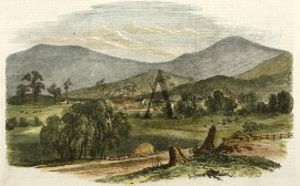 Camerallyn, The Residence of C. Boydell, Esq. NSW - Country Camerallyn, The Residence of C. Boydell, Esq.