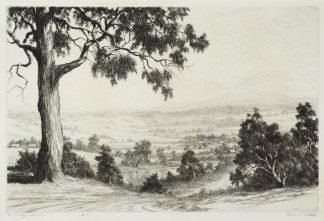 The Valley Morning Australiana (General)