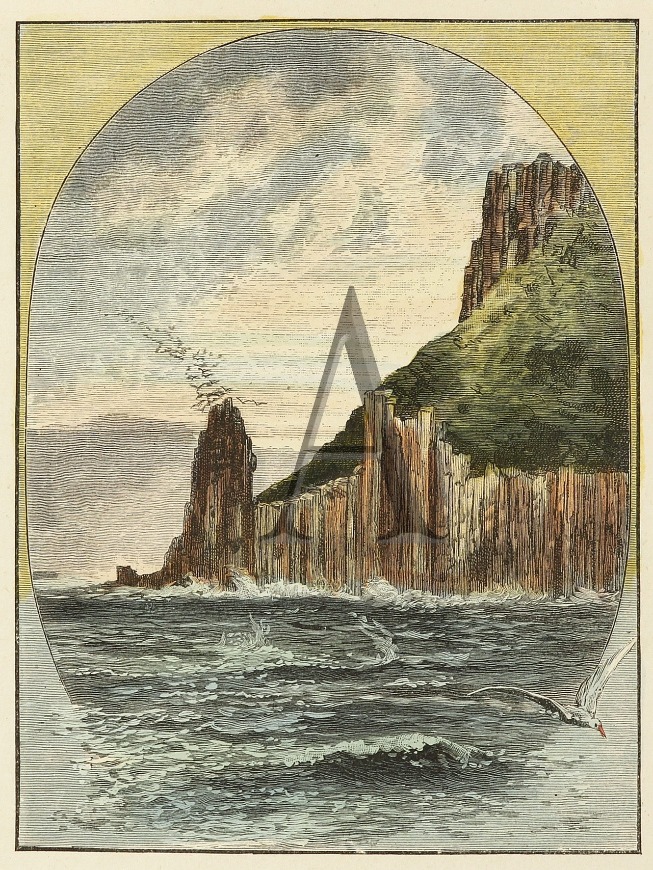 Cape Pillar. - Antique Print from 1887