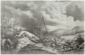 “Just Too Late,” From a Draw… Australiana (General)