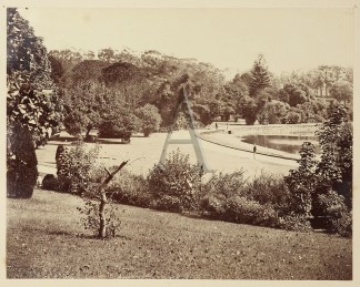 ‘Botanic Gardens’ Sydney